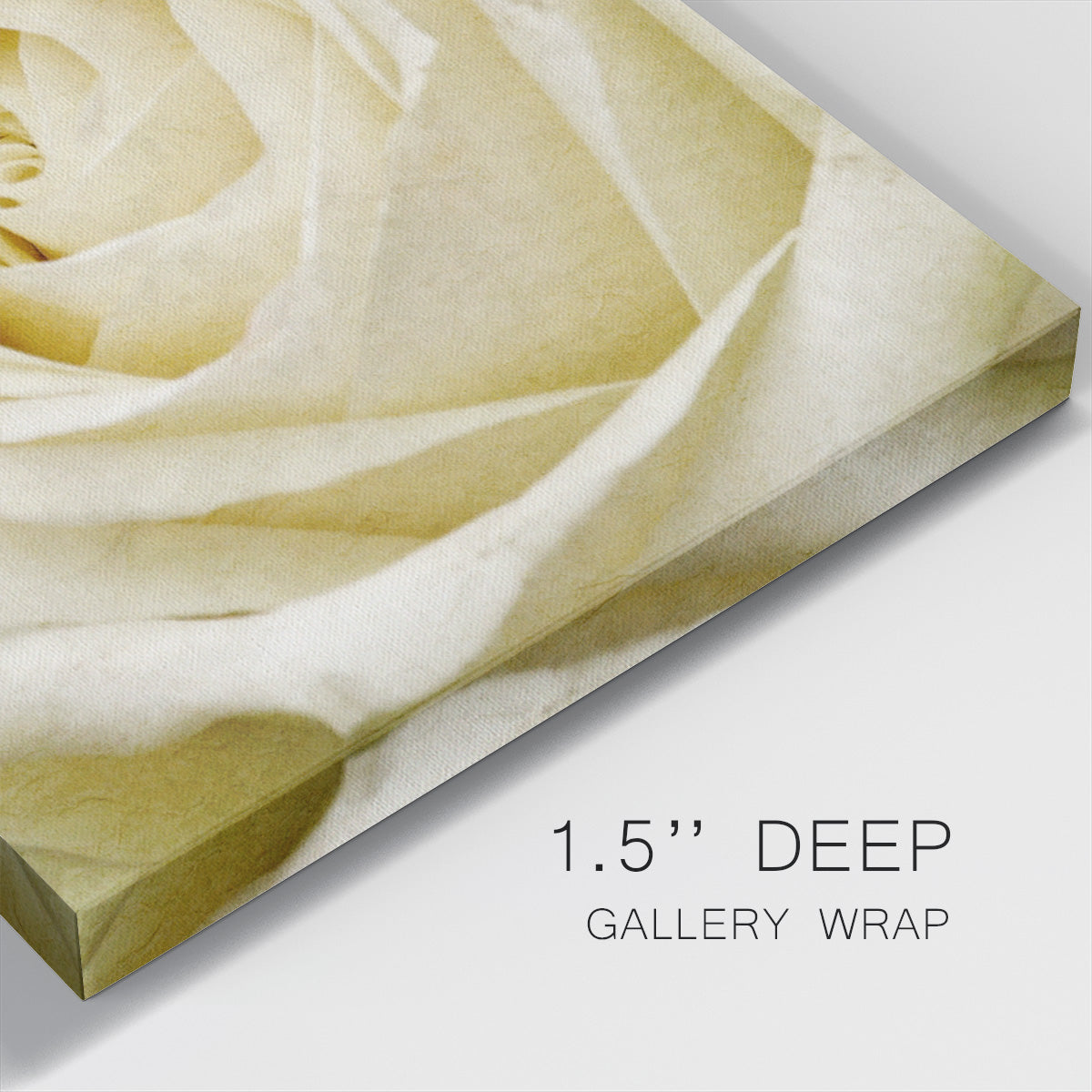 Wall Flower III-Premium Gallery Wrapped Canvas - Ready to Hang