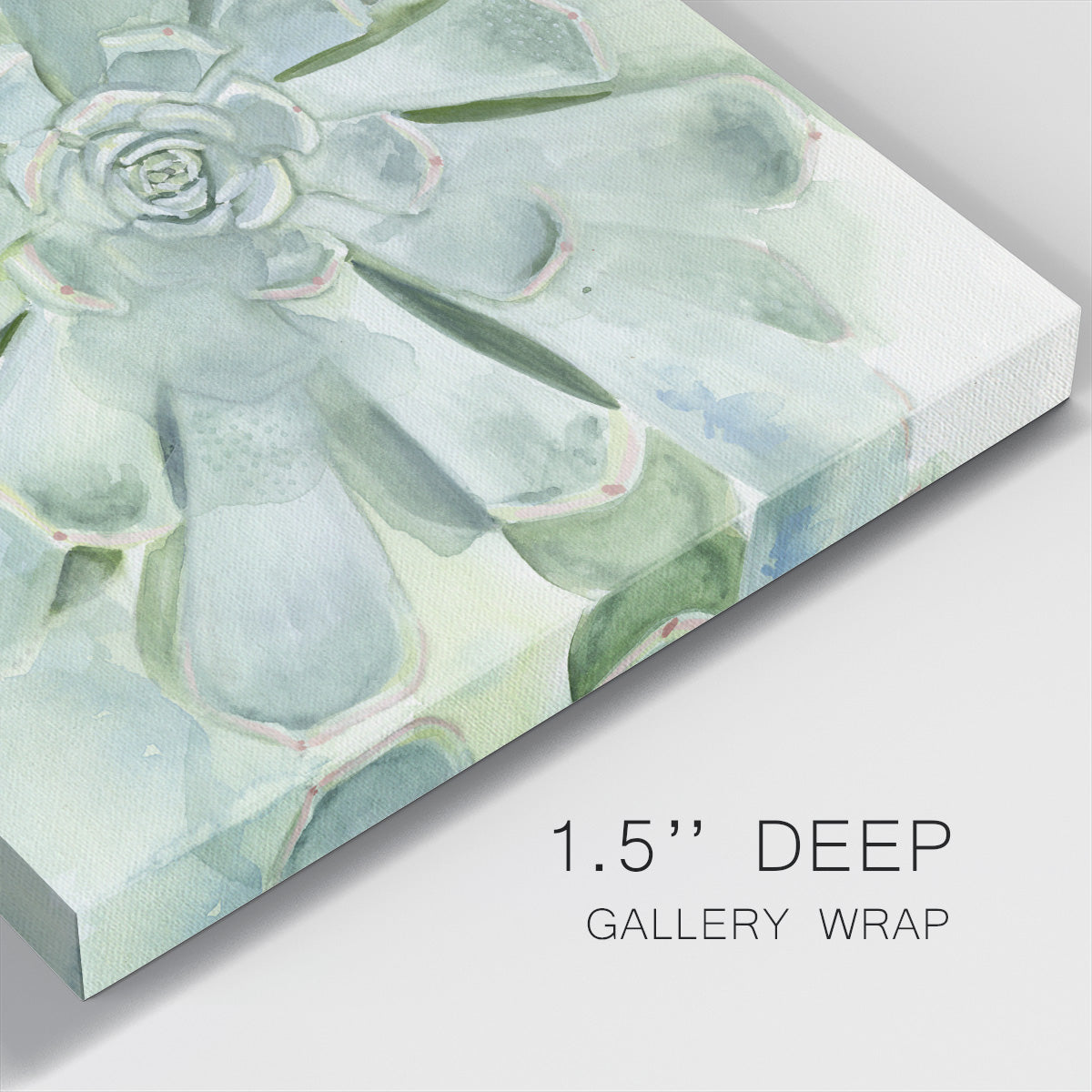 Verdant Succulent IV-Premium Gallery Wrapped Canvas - Ready to Hang