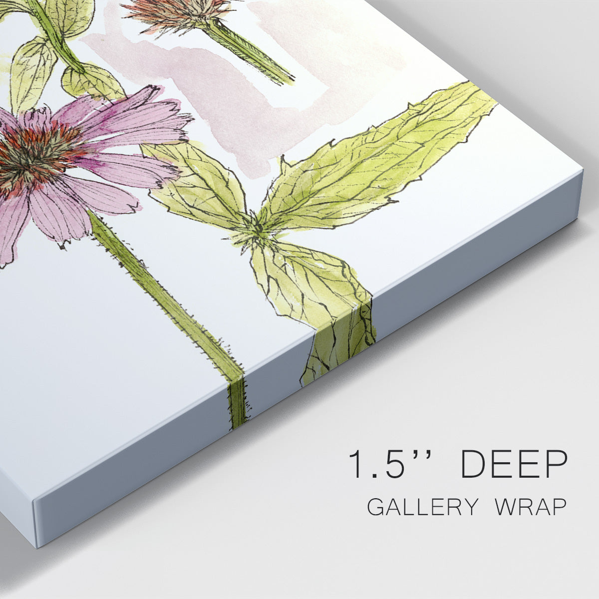 Floral Field Notes II - Canvas Art Print