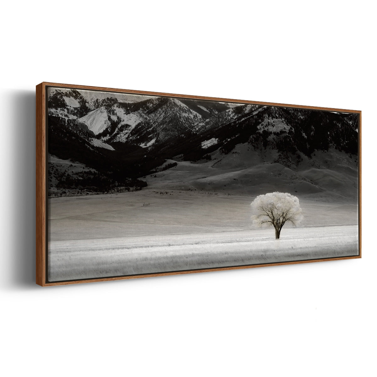 Solitary Tree - Floater Framed Canvas Print