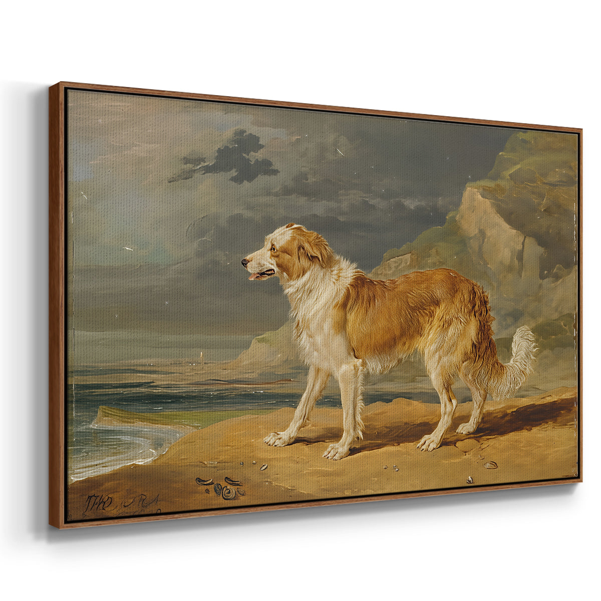 Rough-Coated Collie, 1809 - Floater Framed Canvas Print