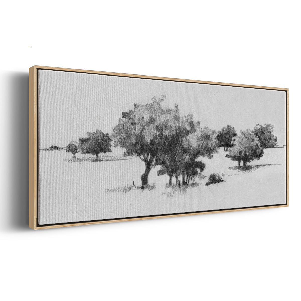 Treeline Sketch II - Floater Framed Canvas Print