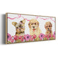 Puppy Valentine Collection D - Floater Framed Canvas Print
