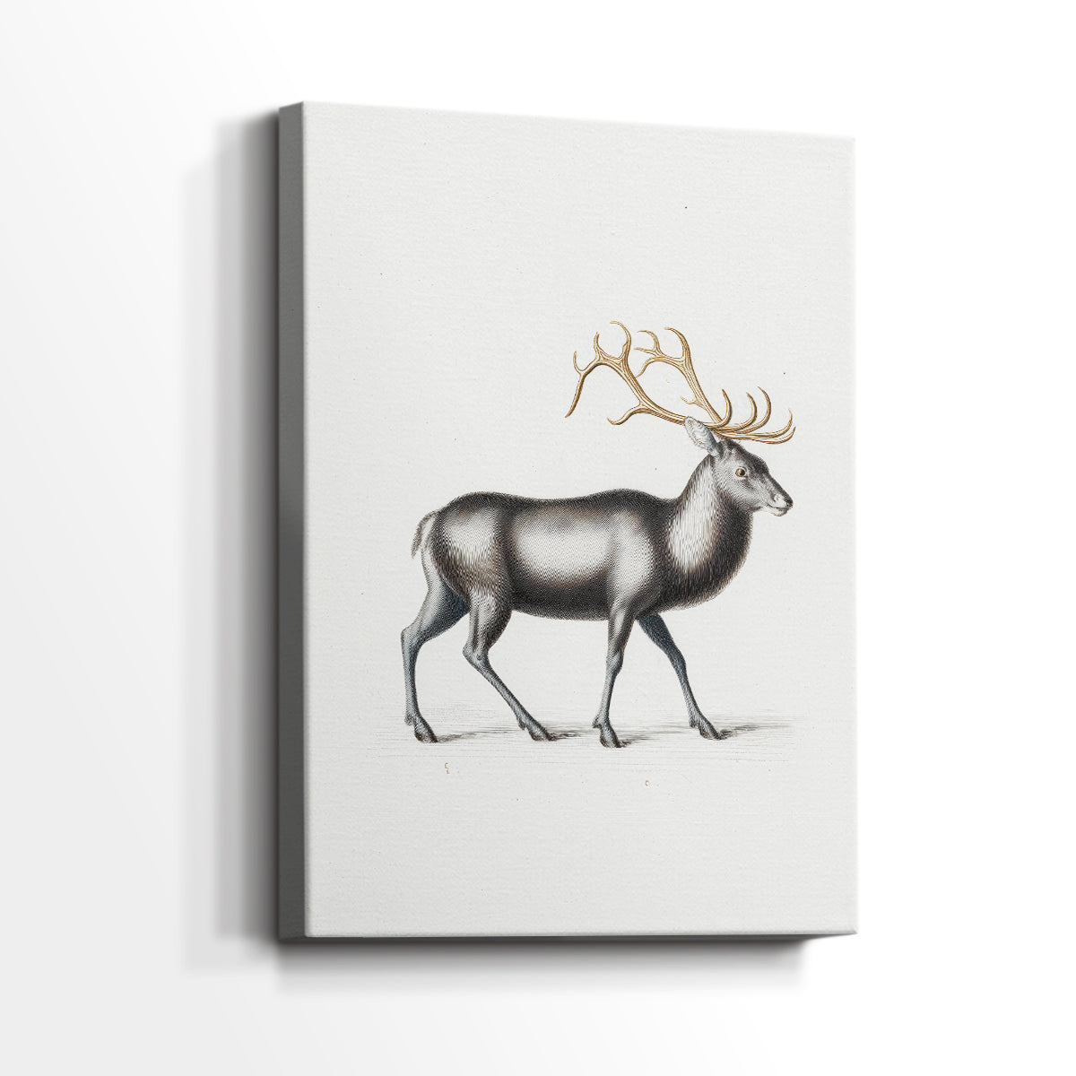 Eve of Pearled Dusk - Canvas Art Print
