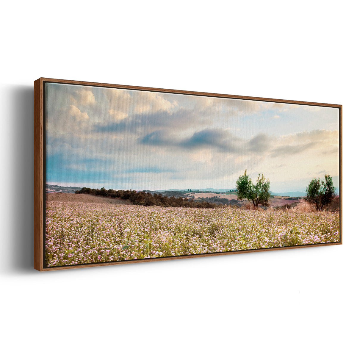 Tuscan Wildflowers - Floater Framed Canvas Print