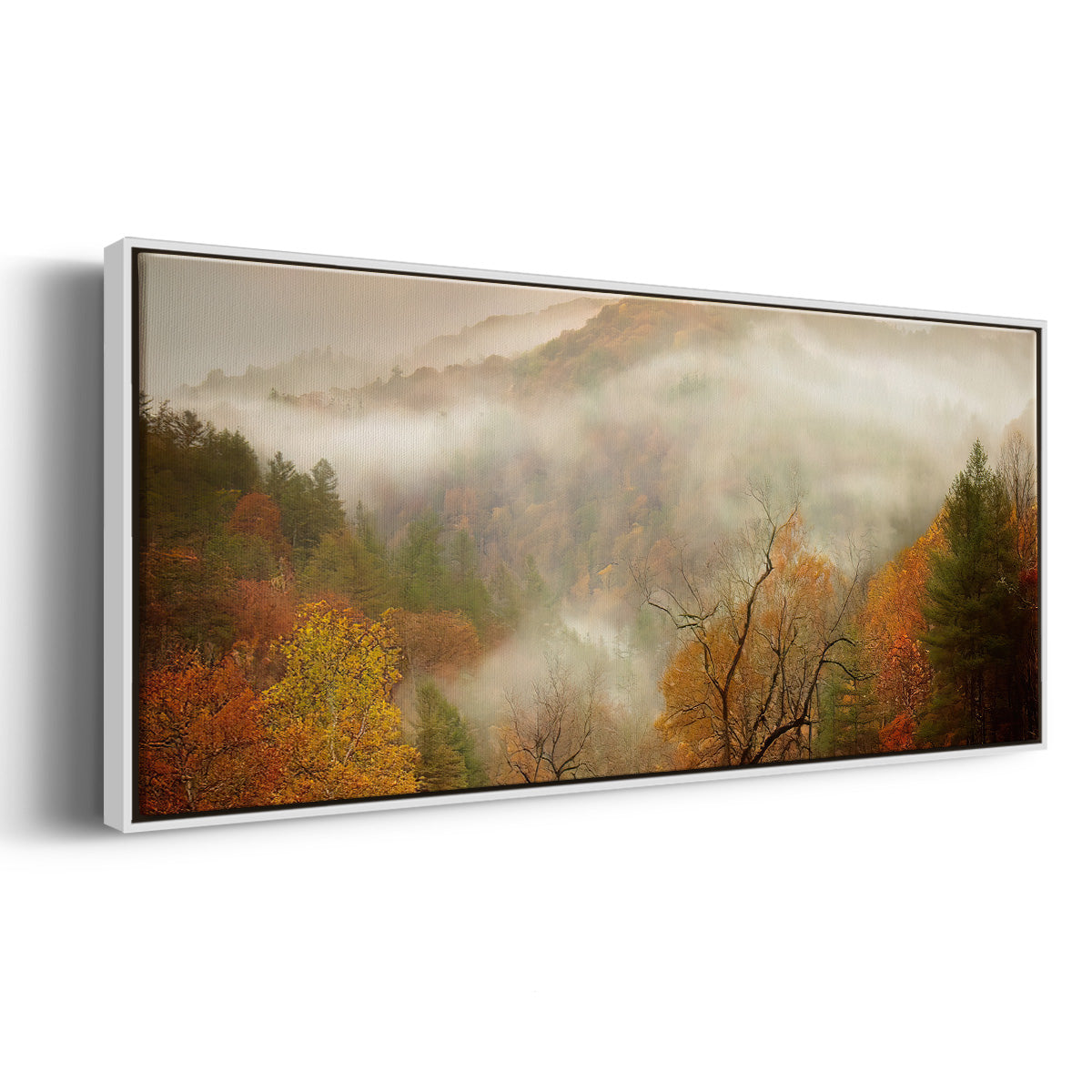 Photography Study Autumn Mist - Floater Framed Canvas Print