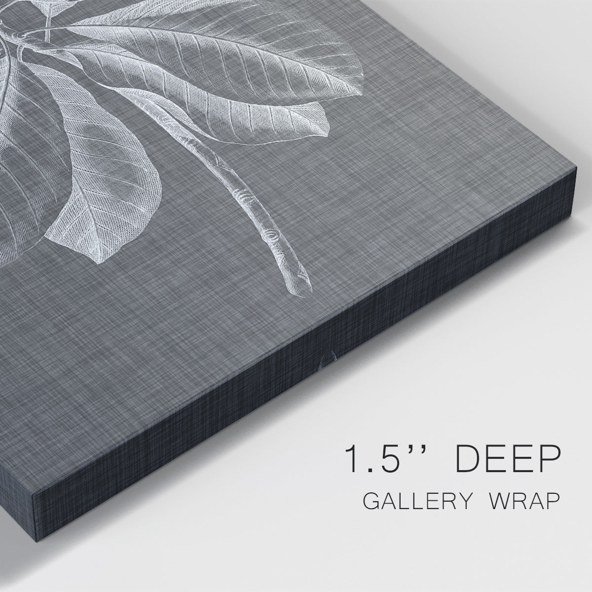 Graphic Foliage II Premium Gallery Wrapped Canvas - Ready to Hang