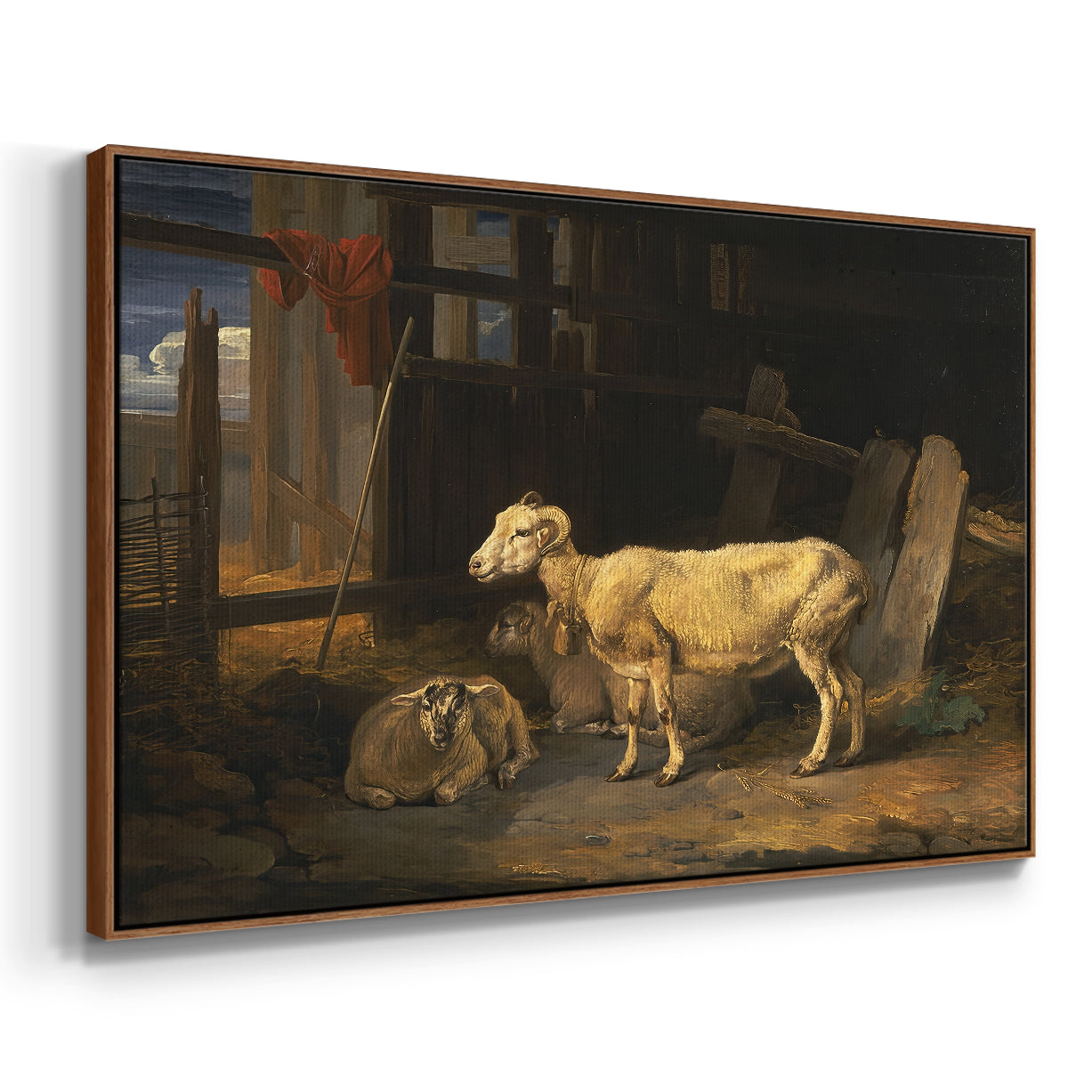 Sheep in a Stable, 1810 - Floater Framed Canvas Print