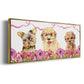 Puppy Valentine Collection D - Floater Framed Canvas Print