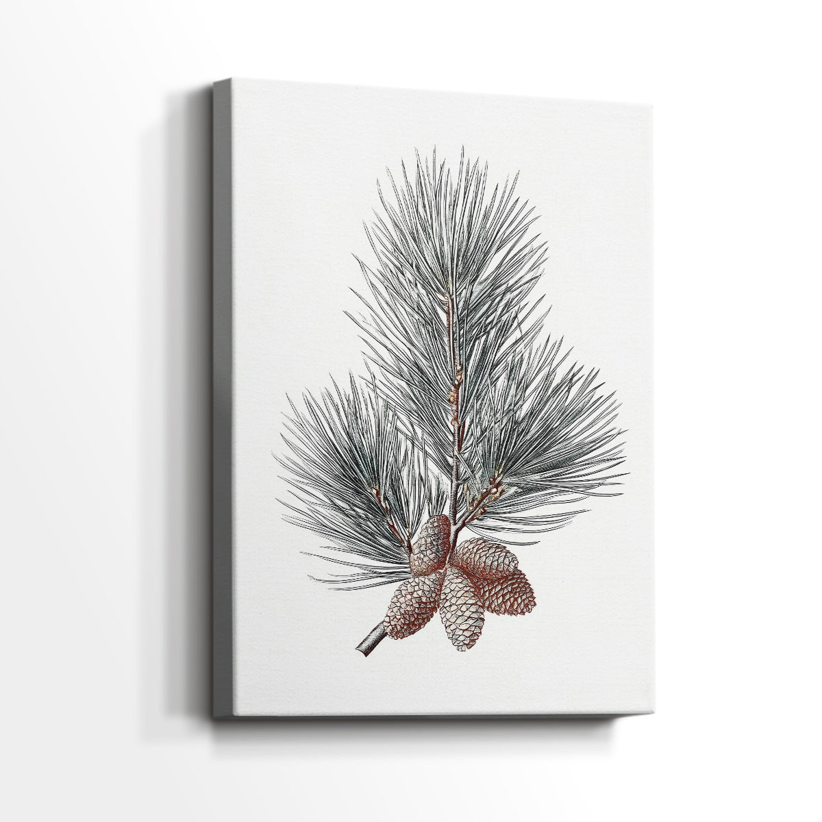 Silver Whisper of Snow - Canvas Art Print