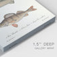 Species of Antique Fish II Premium Gallery Wrapped Canvas - Ready to Hang