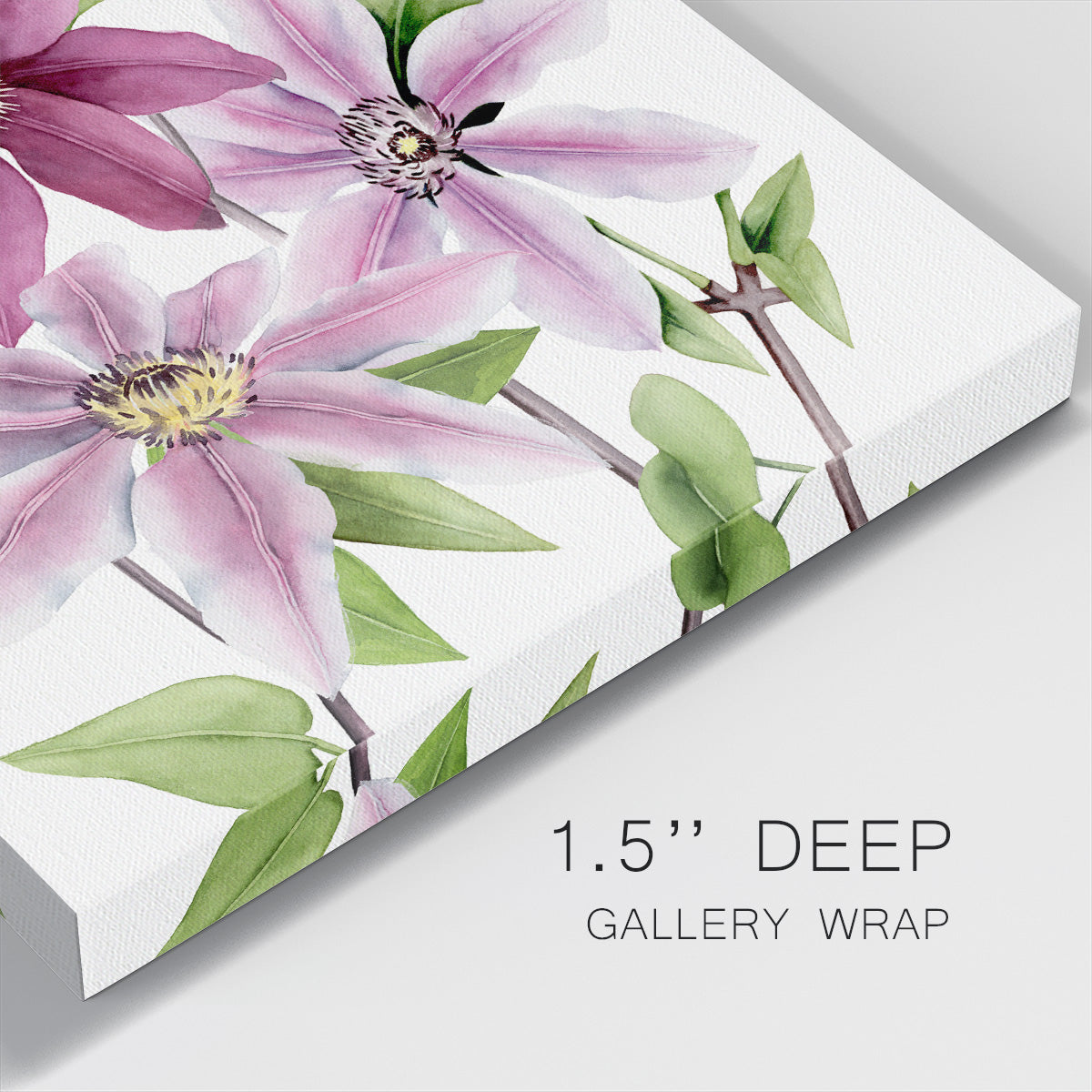 Clematis Climb I - Canvas Art Print