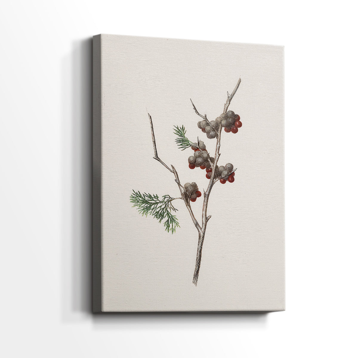 Snowwhite Dusk Square - Canvas Art Print