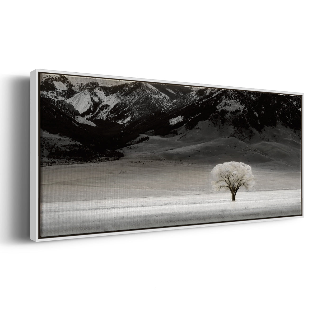 Solitary Tree - Floater Framed Canvas Print