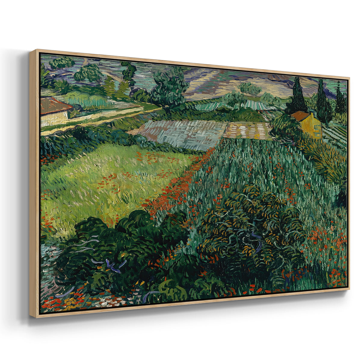 Field with Poppies, Saint-Rémy, 1889 - Floater Framed Canvas Print