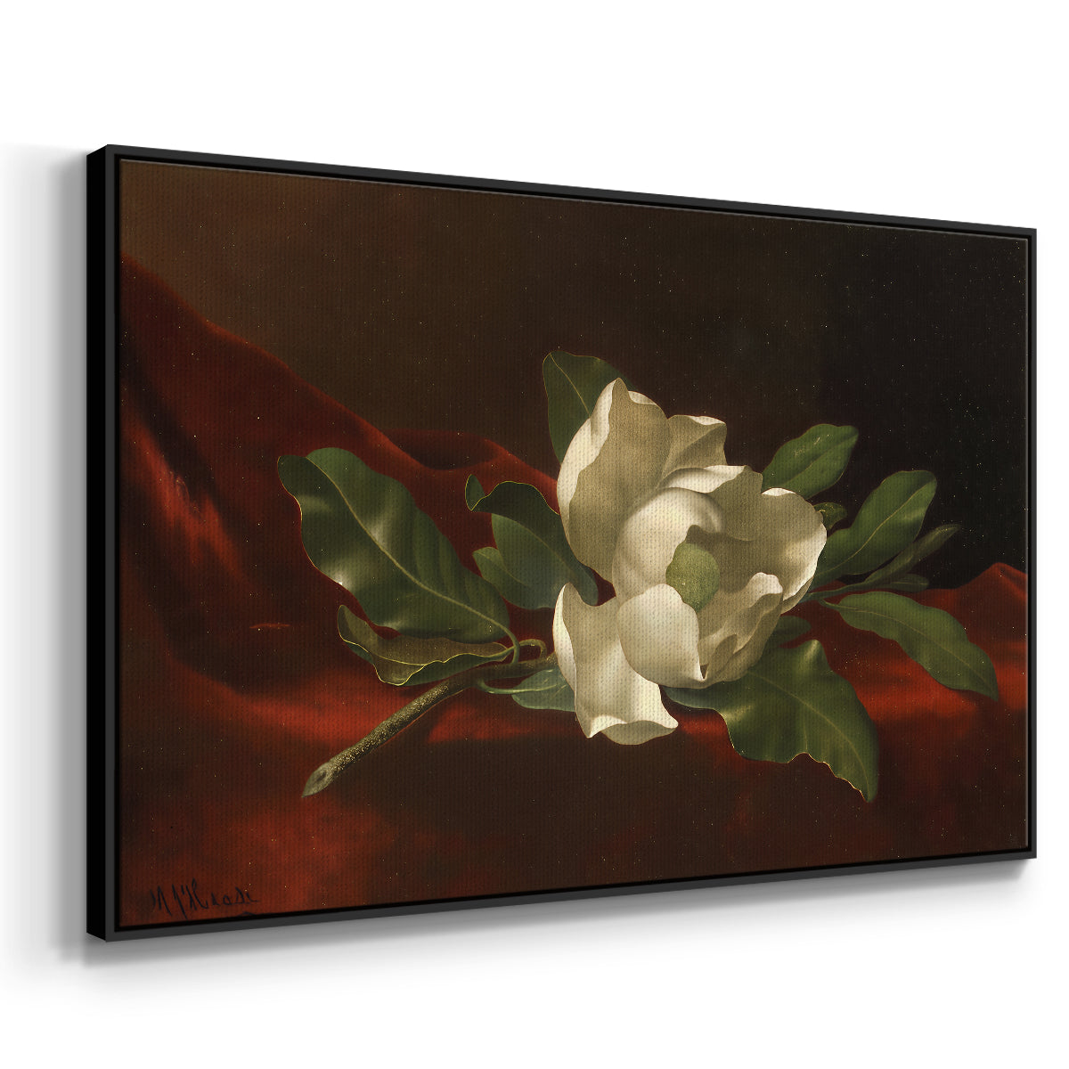 Magnolia on Red Velvet, c. 1885-1890 - Floater Framed Canvas Print