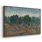 Olive Trees, 1889 - Floater Framed Canvas Print