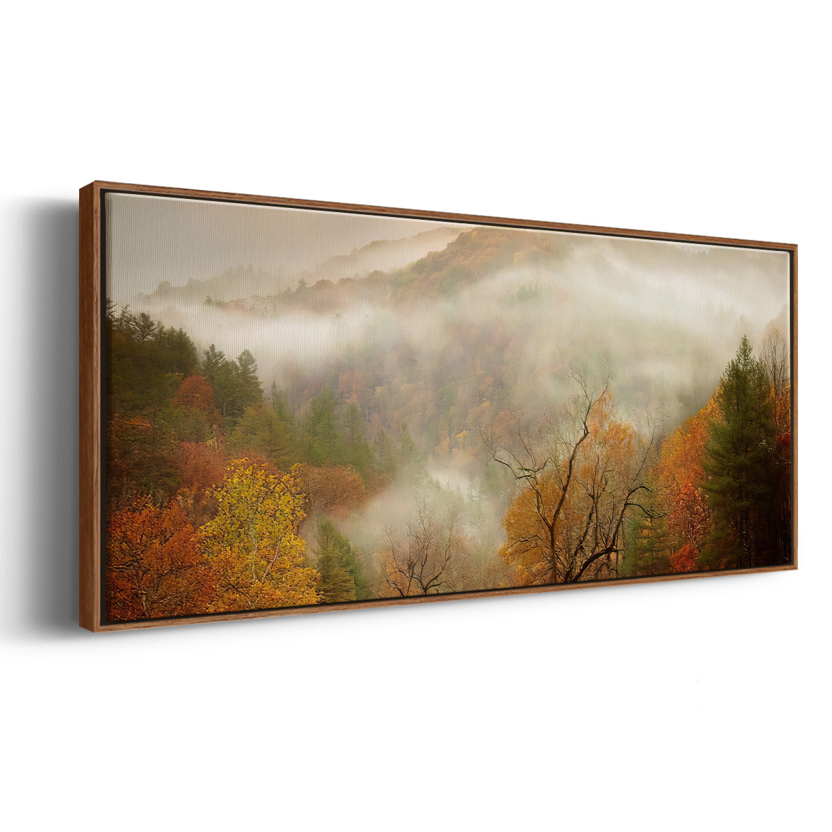 Photography Study Autumn Mist - Floater Framed Canvas Print