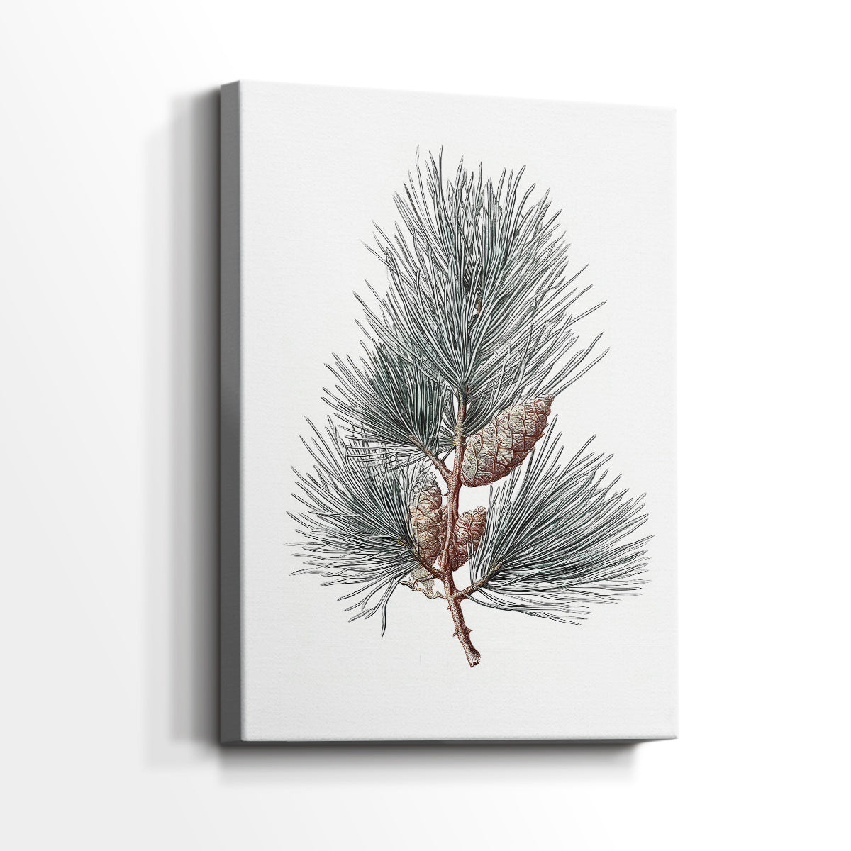Evergreen of Silver Whisper - Canvas Art Print