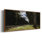 The Road of Chailly in the Fontainbleau Forest, 1865 - Floater Framed Canvas Print