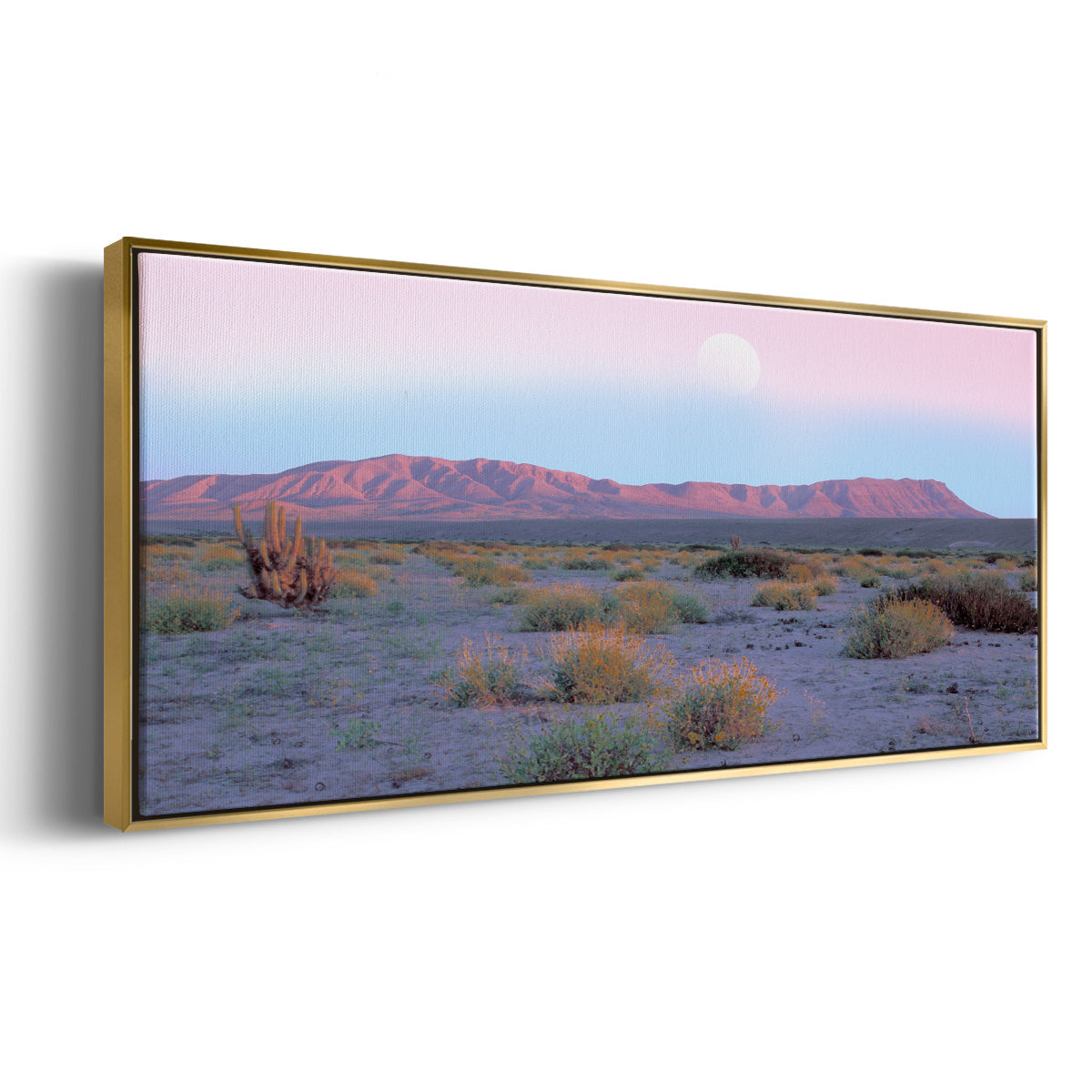 Vallenar Atacama Desert - Floater Framed Canvas Print