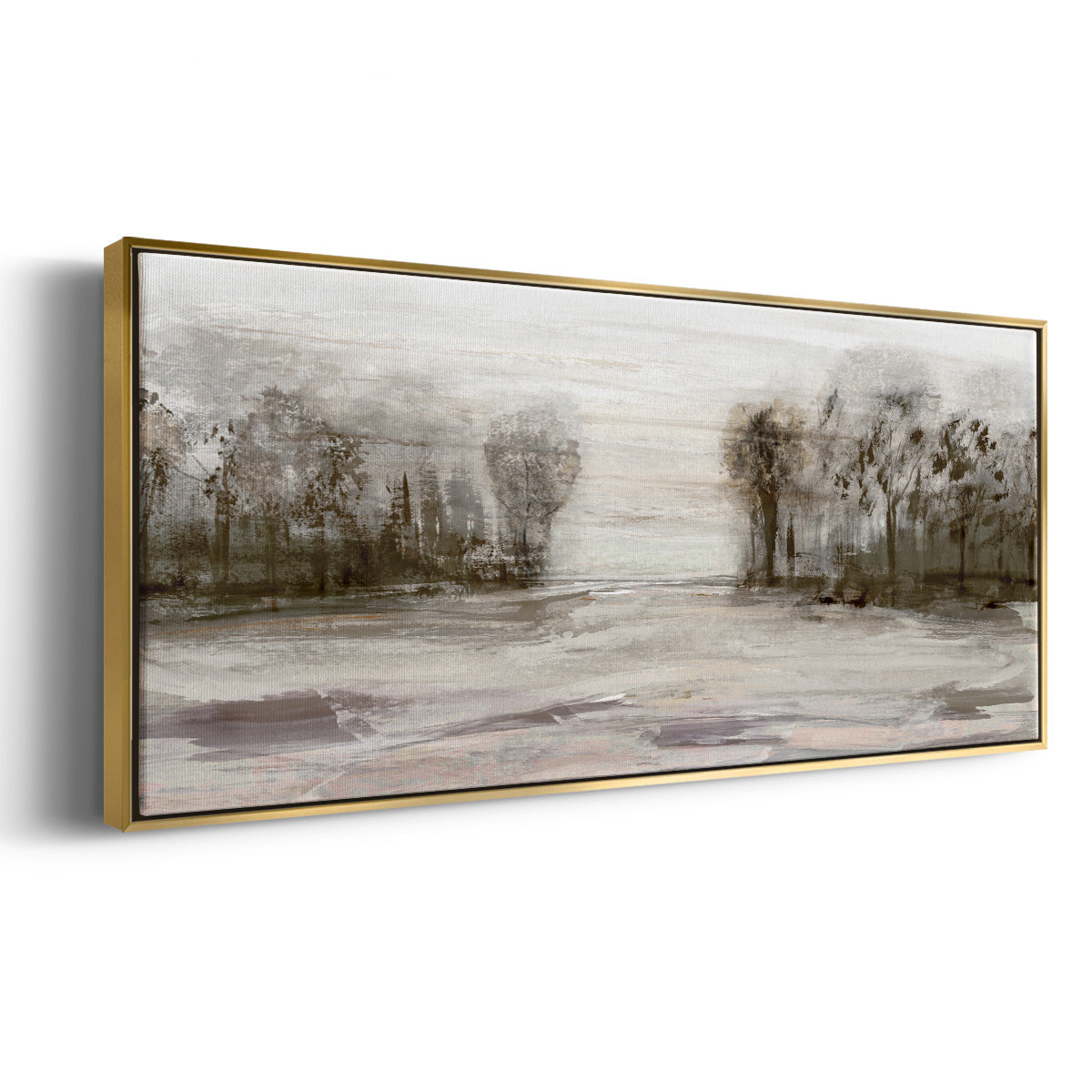 Near Graham Mountain - Floater Framed Canvas Print