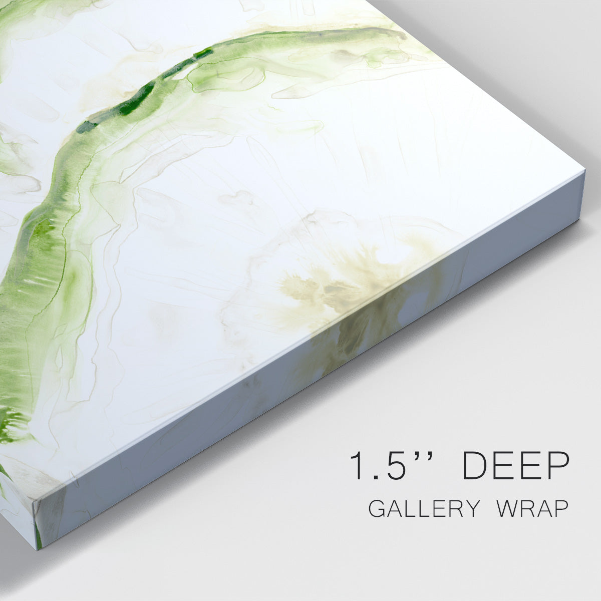 Lichen Halo II Premium Gallery Wrapped Canvas - Ready to Hang