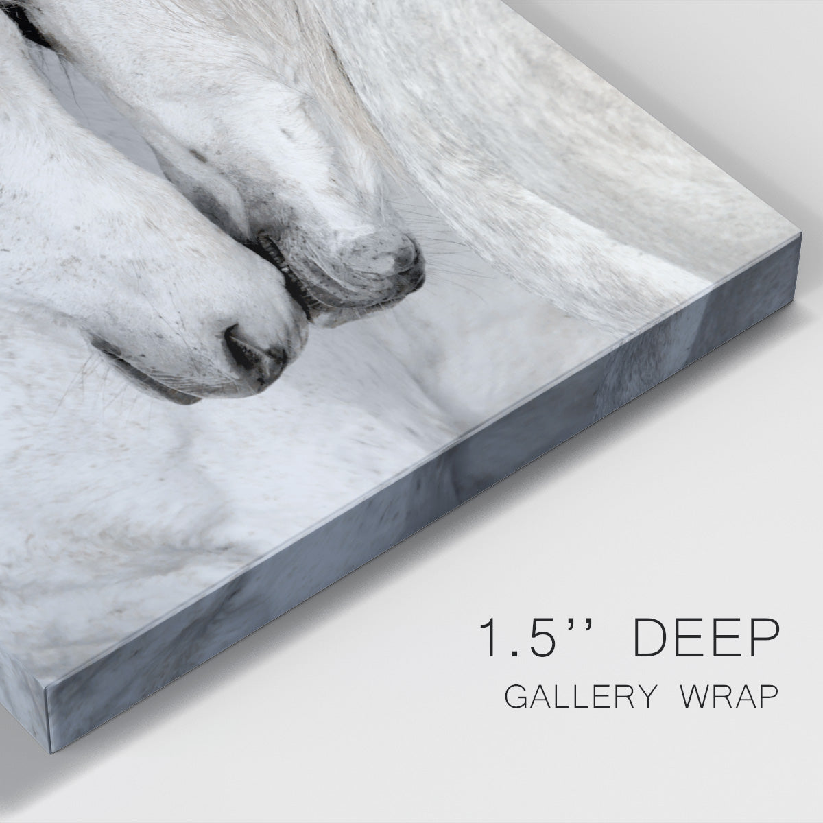 Affection II Premium Gallery Wrapped Canvas - Ready to Hang