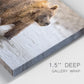 Close-up view of wrapped canvas corner featuring wildlife photography animal portrait.