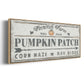 Pumpkin Patch II - Floater Framed Canvas Print