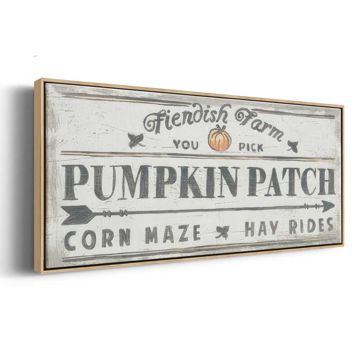Pumpkin Patch II - Floater Framed Canvas Print