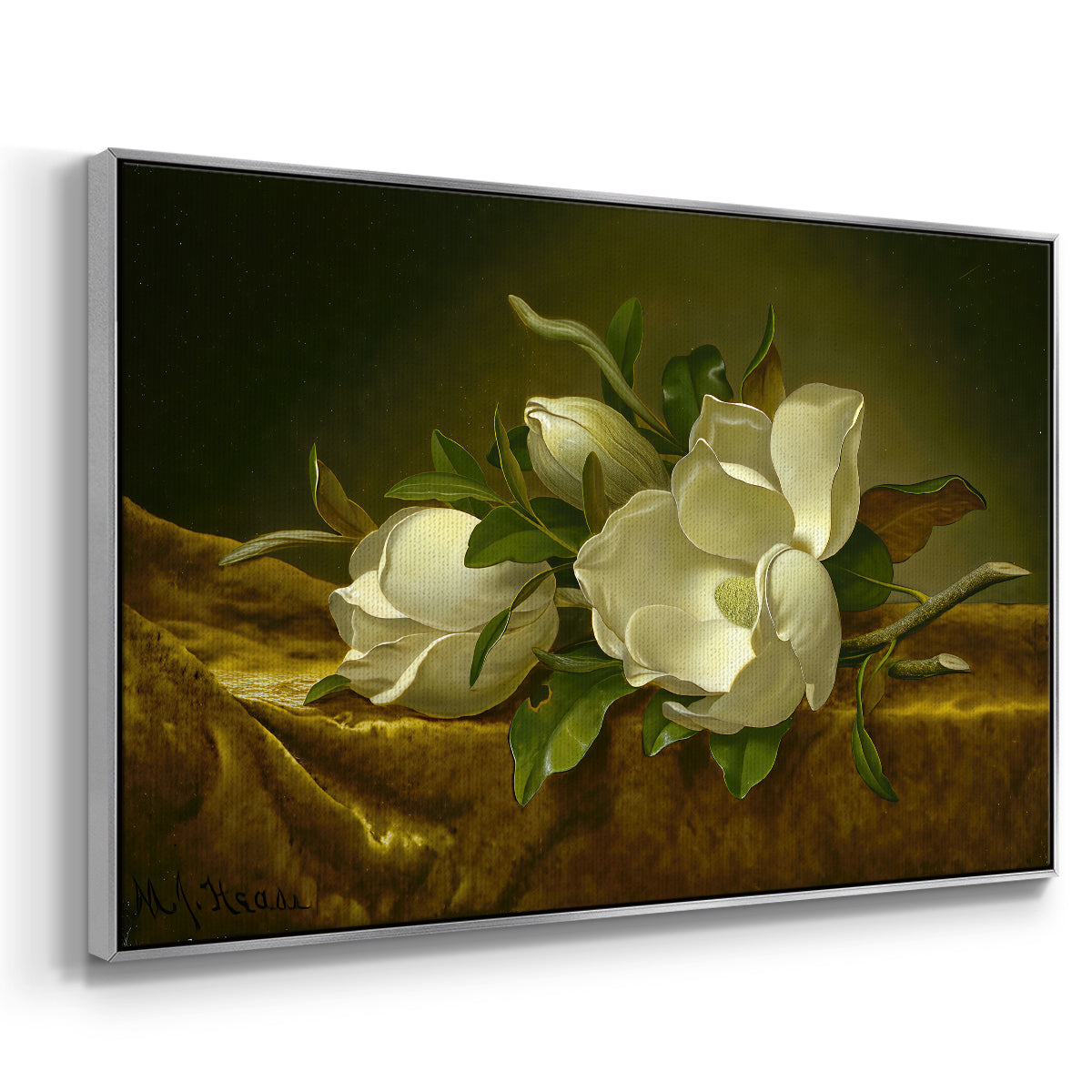 Magnolias on Gold Velvet Cloth, c. 1888-1890 - Floater Framed Canvas Print