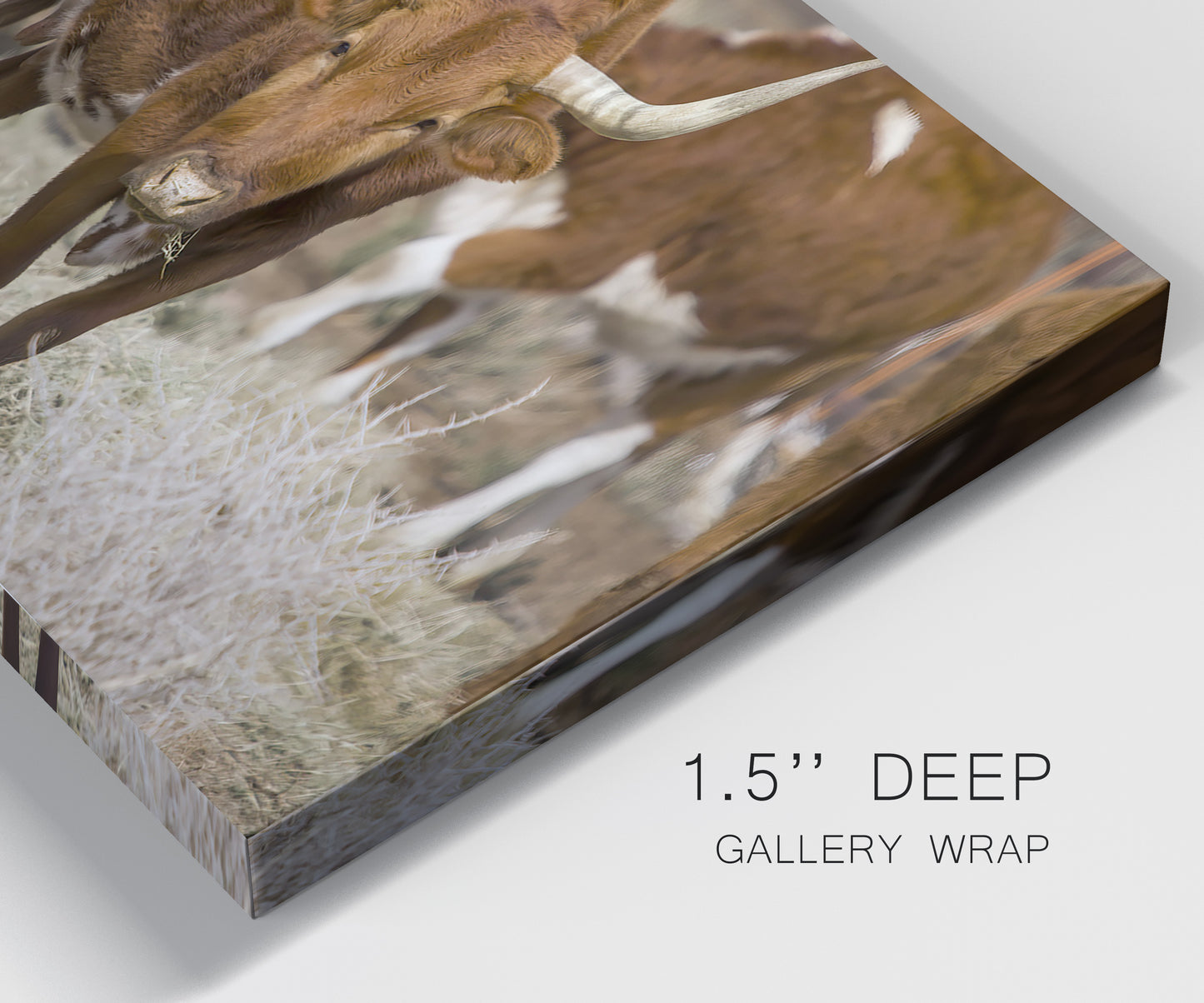 Close-up view of wrapped canvas corner featuring longhorn cattle standing together.
