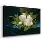 Giant Magnolias on a Blue Velvet Cloth, c. 1890 - Floater Framed Canvas Print