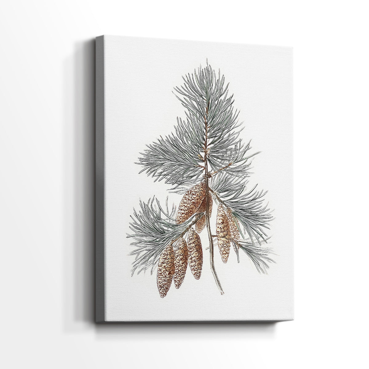 Pearled Eve Lane - Canvas Art Print