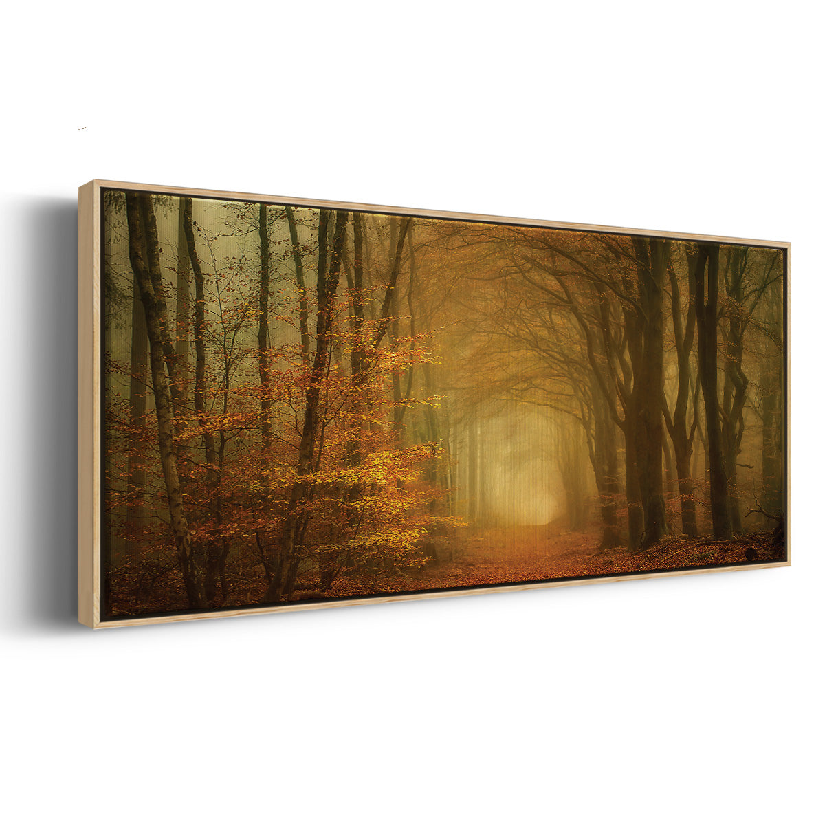 Early Light - Floater Framed Canvas Print