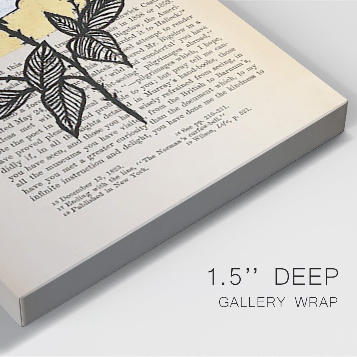Floral Diary II - Canvas Art Print