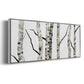 Birch Trees II - Floater Framed Canvas Print