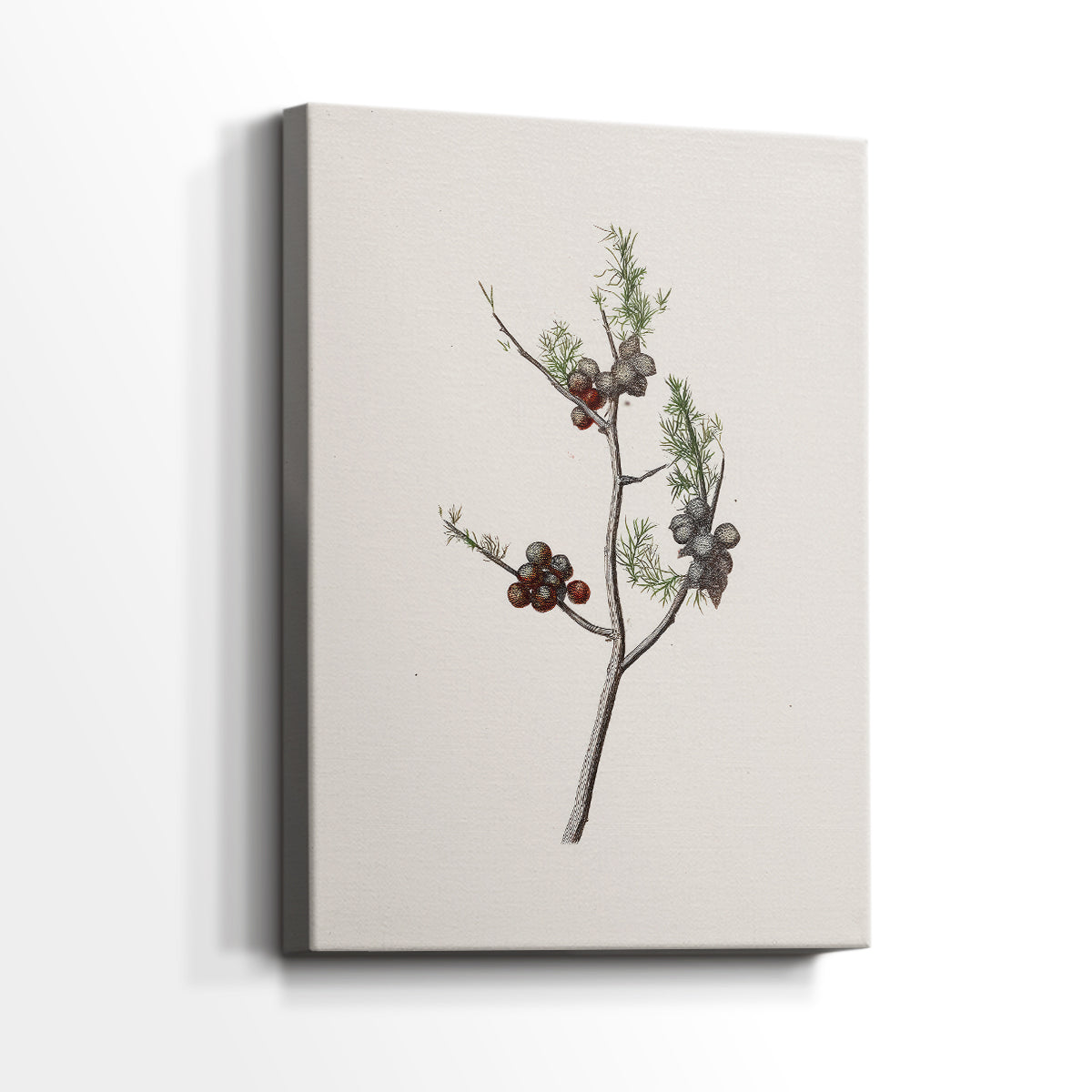 Silver Nativity Promise - Canvas Art Print