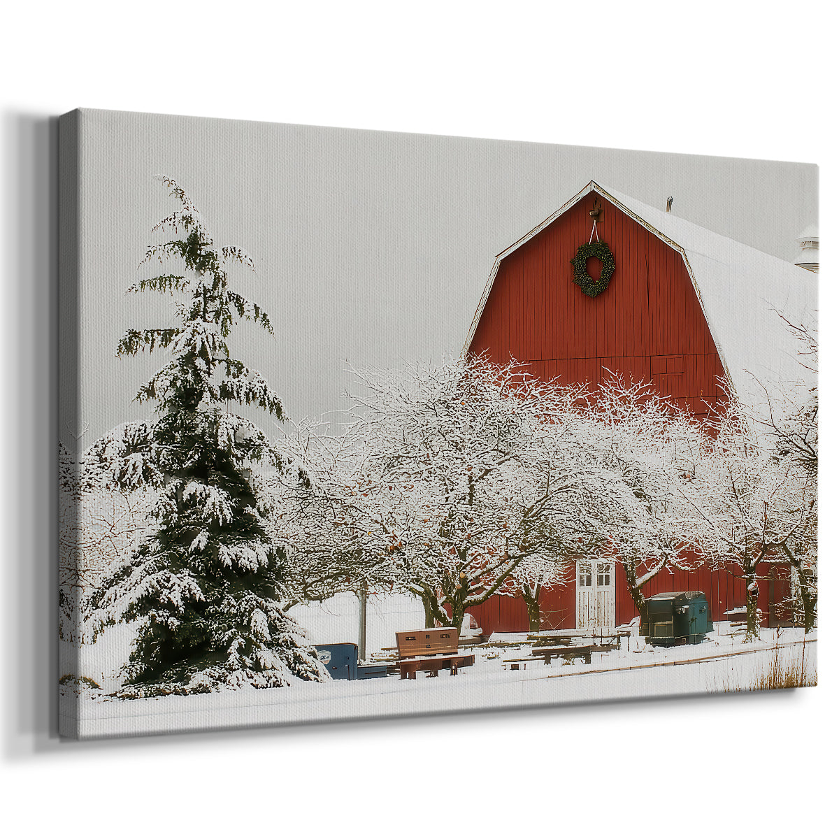 Mistletoe of Sugar Serenade - Canvas Art Print