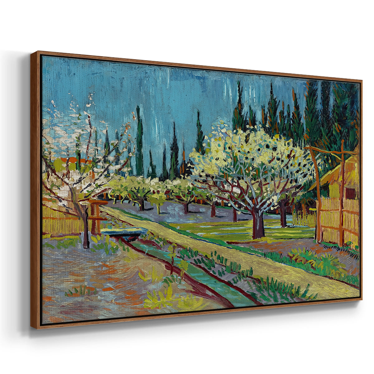 Orchard in Blossom, Bordered by Cypresses, 1888 - Floater Framed Canvas Print