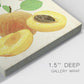 Apricot Study I Premium Gallery Wrapped Canvas - Ready to Hang