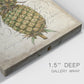 Pineapple Study I Premium Gallery Wrapped Canvas - Ready to Hang