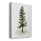 Watercolor Pine II - Gallery Wrapped Canvas