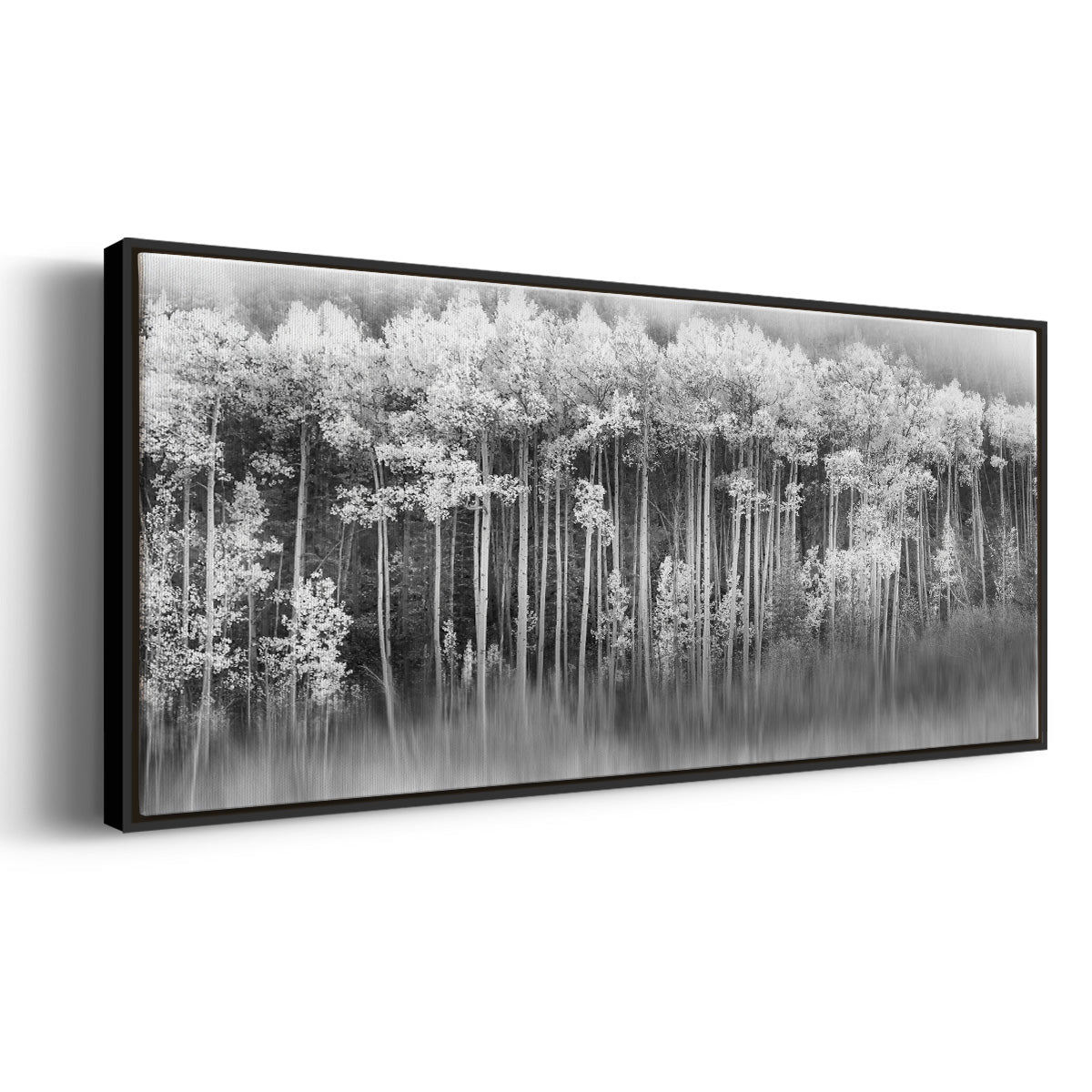 Dreamy Aspen - Floater Framed Canvas Print