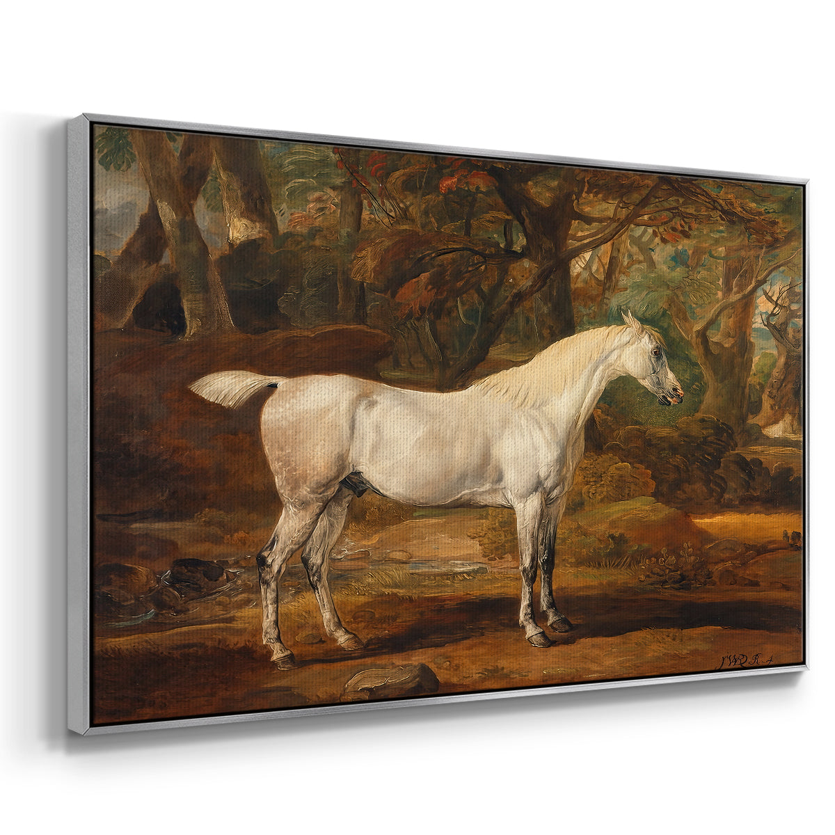 Grey Arabian Stallion, Property of Sir Watkin Williams-Wynn, c. 1817 - Floater Framed Canvas Print