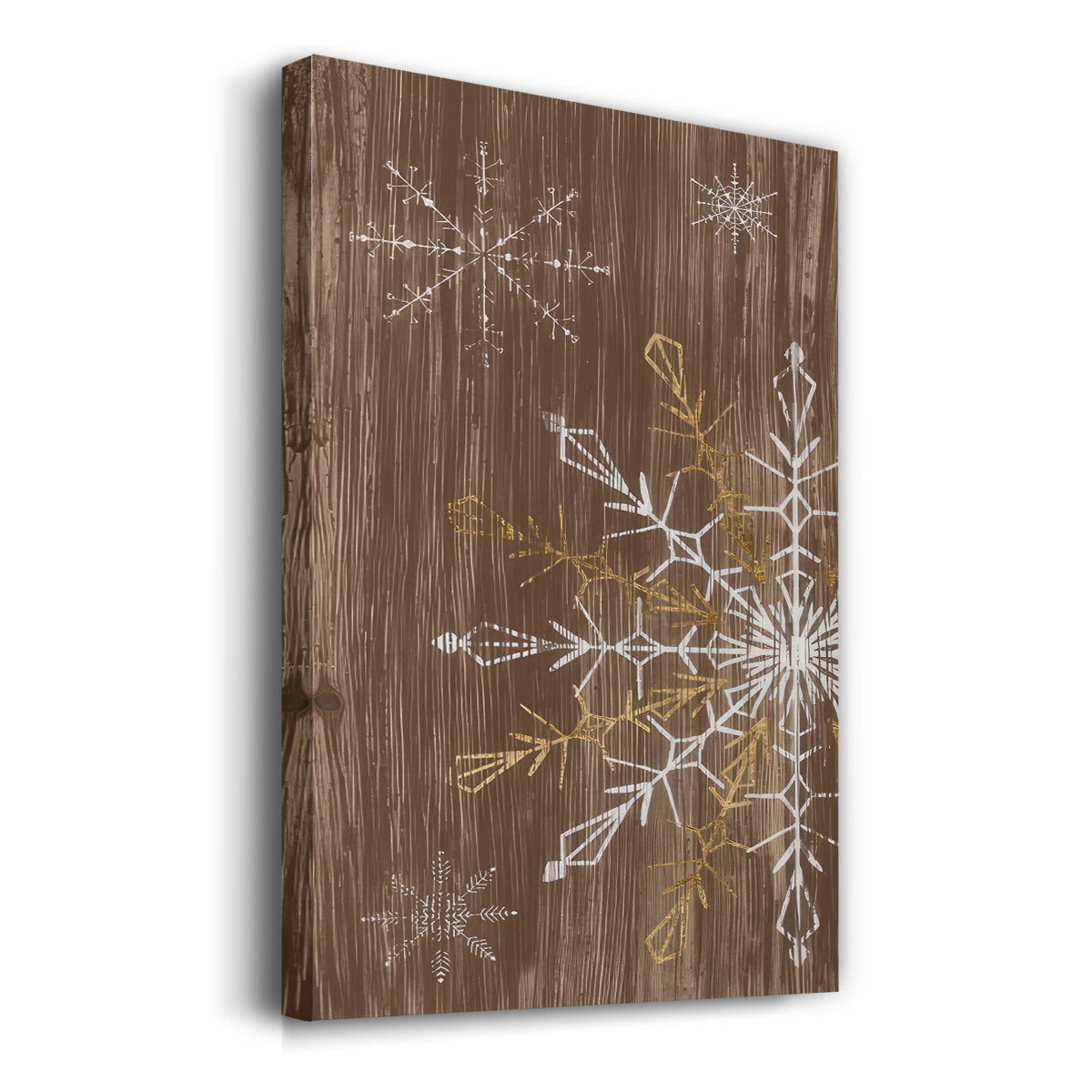 Barnwood Wonderland Collection B - Gallery Wrapped Canvas