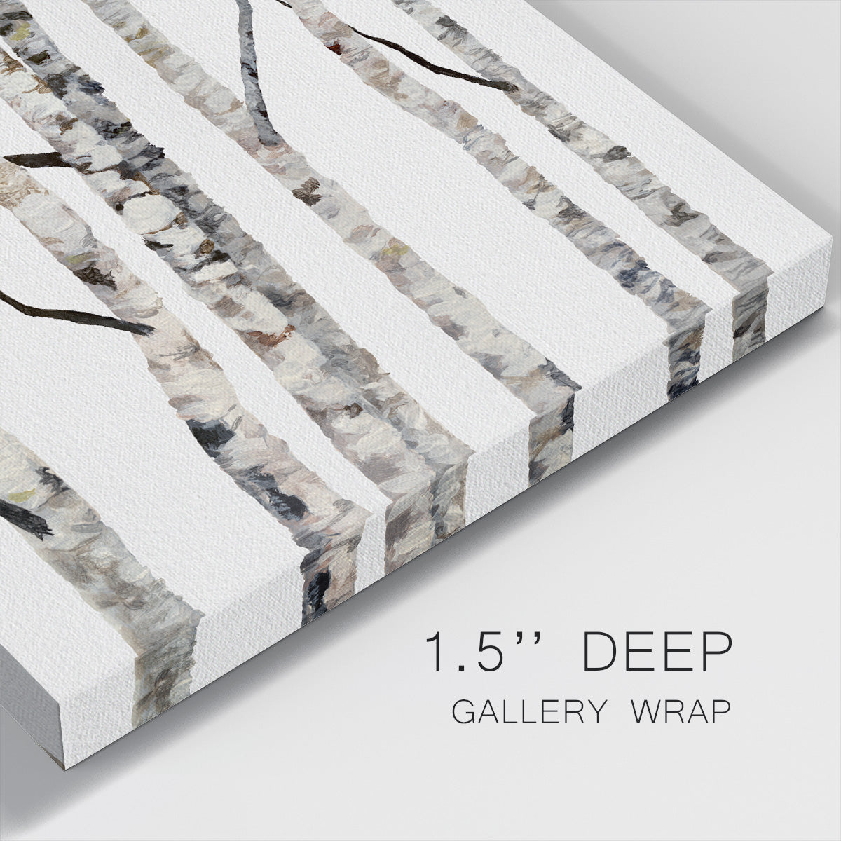 Birch Trees II-Premium Gallery Wrapped Canvas - Ready to Hang