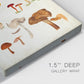 Mushroom Species XII - Canvas Art Print