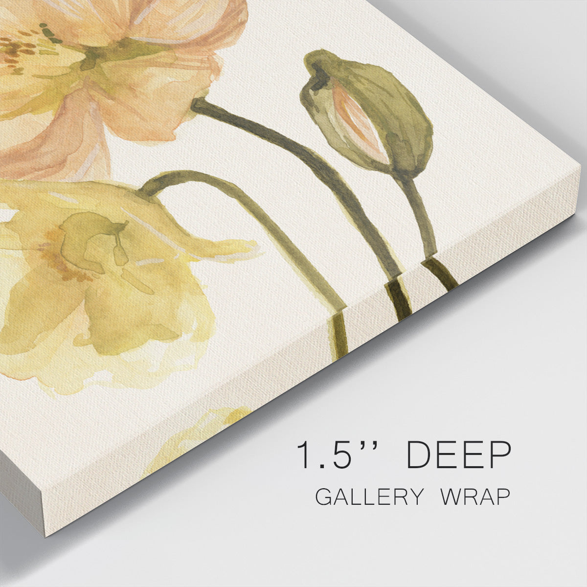 Highpoint Poppies II - Canvas Art Print